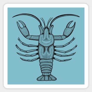 Crayfish or Small Lobster - hand drawn animal design Sticker